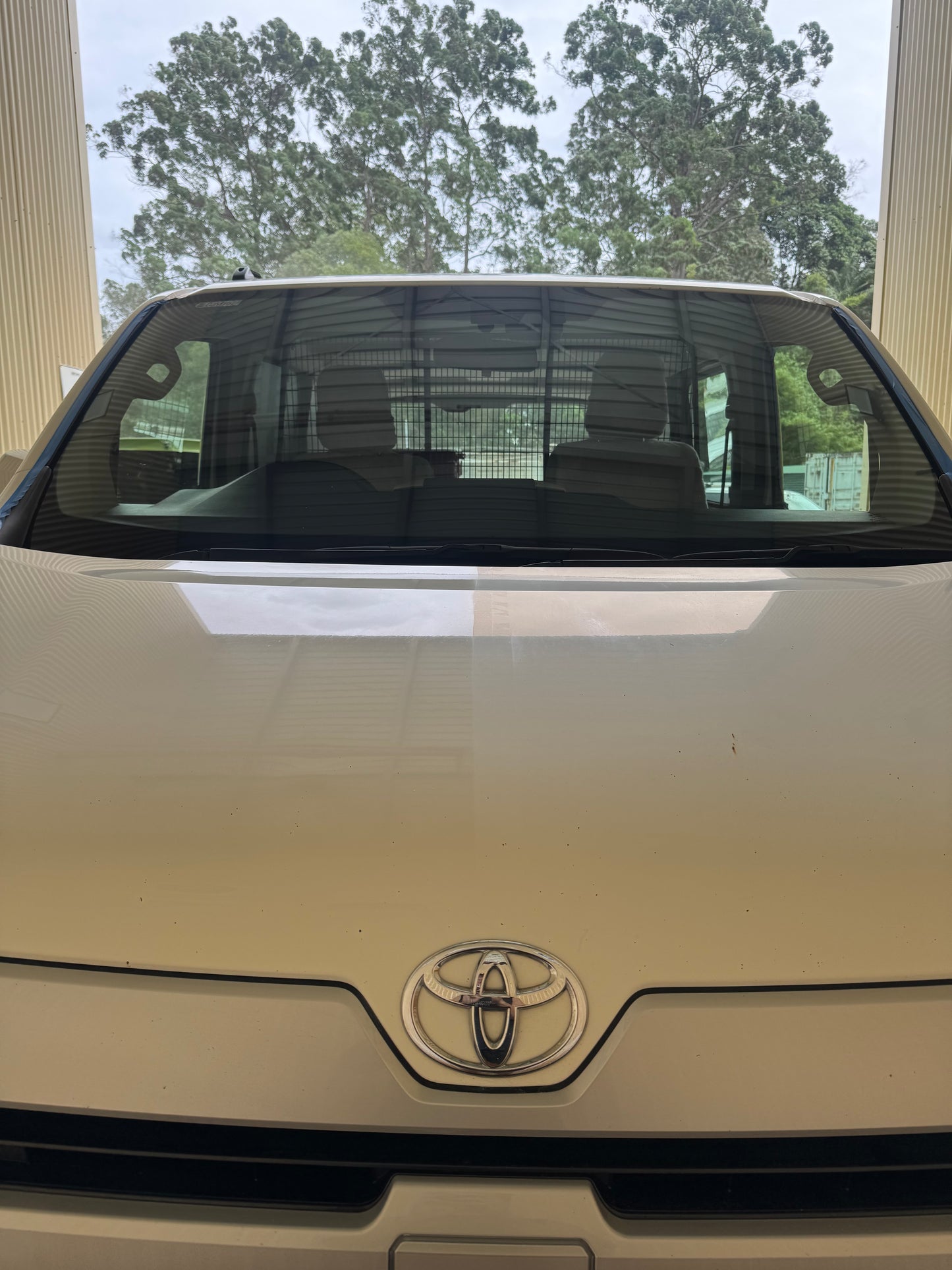 Spit N Polish (Paint Correction)